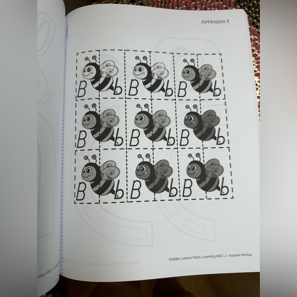 NEW Toddler Lesson Plans: Learning ABC's: 26 wk guide book ages 2-6 yr olds - Picture 4 of 13